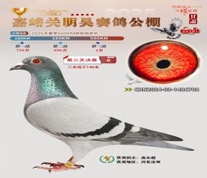 P(gun)껛Qِ4