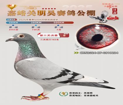P(gun)껛Qِ5