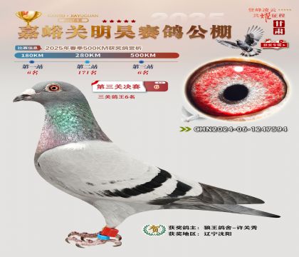P(gun)껛Qِ6P(gun)6