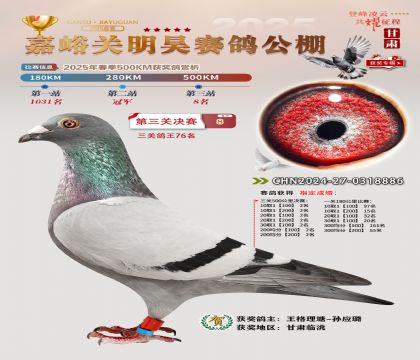 P(gun)껛Qِ8