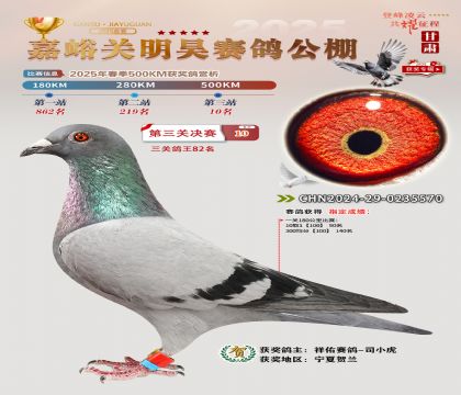 P(gun)껛Qِ10