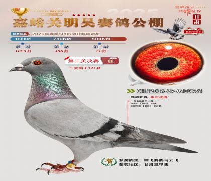 P(gun)껛Qِ11
