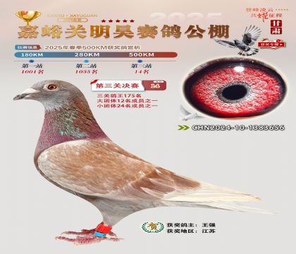P(gun)껛Qِ14