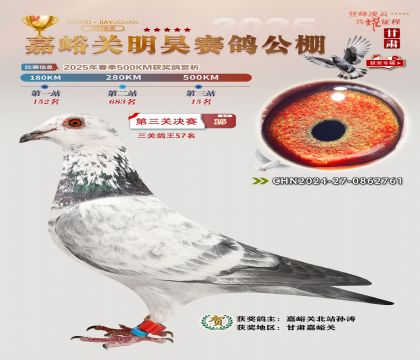 P(gun)껛Qِ15