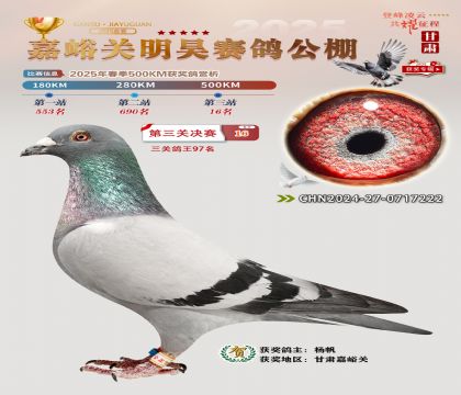 P(gun)껛Qِ16