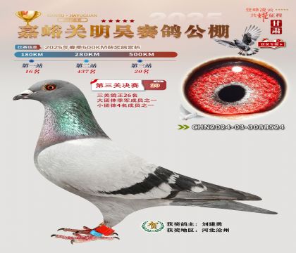 P(gun)껛Qِ20