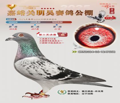 P(gun)껛Qِ21