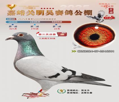 P(gun)껛Qِ22