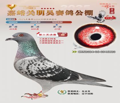 P(gun)껛Qِ23