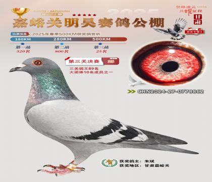 P(gun)껛Qِ25