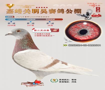 P(gun)껛Qِ26