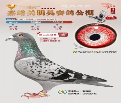 P(gun)껛Qِ30