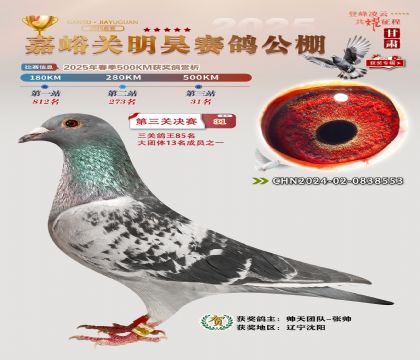 P(gun)껛Qِ31