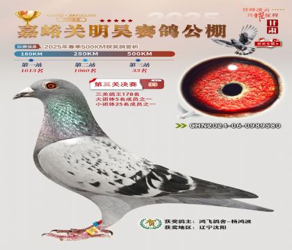 P(gun)껛Qِ33
