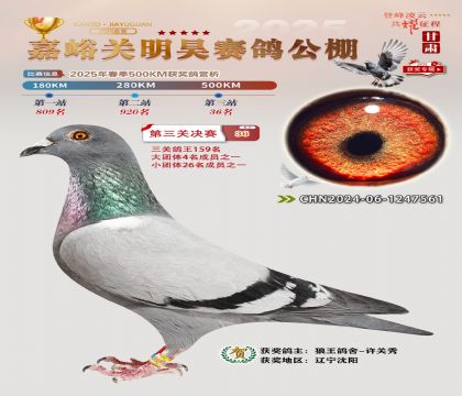 P(gun)껛Qِ36
