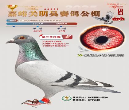 P(gun)껛Qِ37