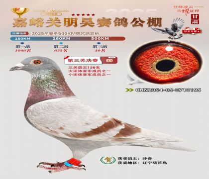 P(gun)껛Qِ39