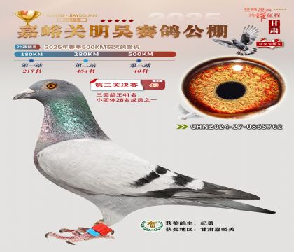 P(gun)껛Qِ40