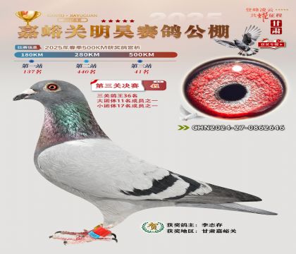 P(gun)껛Qِ41