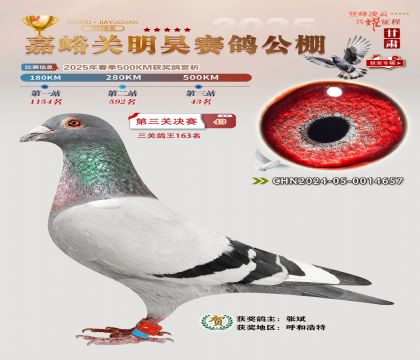 P(gun)껛Qِ43