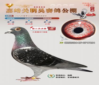 P(gun)껛Qِ44