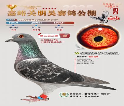 P(gun)껛Qِ45