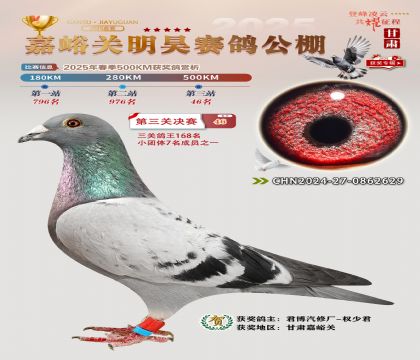 P(gun)껛Qِ46