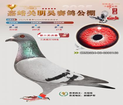 P(gun)껛Qِ47