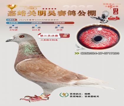 P(gun)껛Qِ48