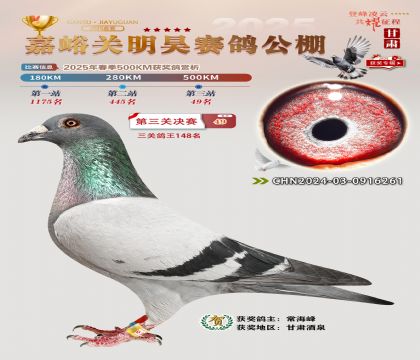 P(gun)껛Qِ49