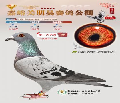 P(gun)껛Qِ50