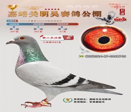 P(gun)껛Qِ51