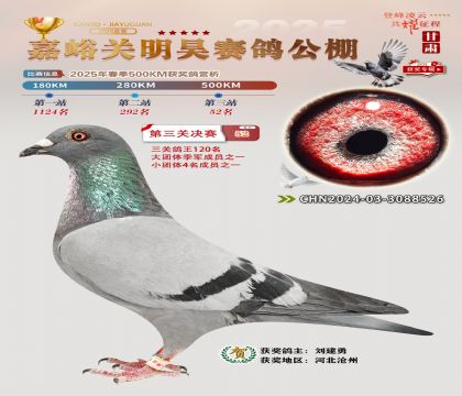 P(gun)껛Qِ52