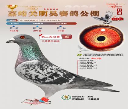 P(gun)껛Qِ53