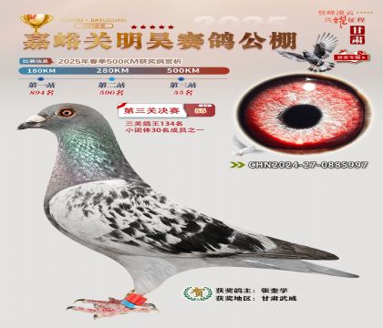 P(gun)껛Qِ55