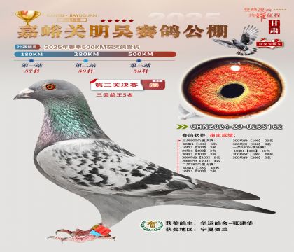 P(gun)껛Qِ58P(gun)5