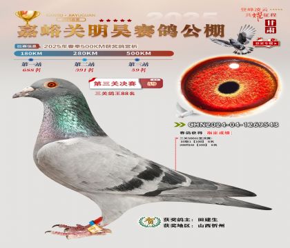 P(gun)껛Qِ59