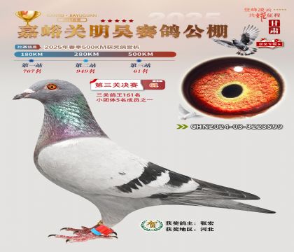 P(gun)껛Qِ61