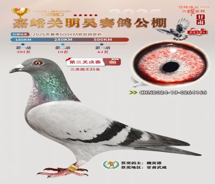 P(gun)껛Qِ64