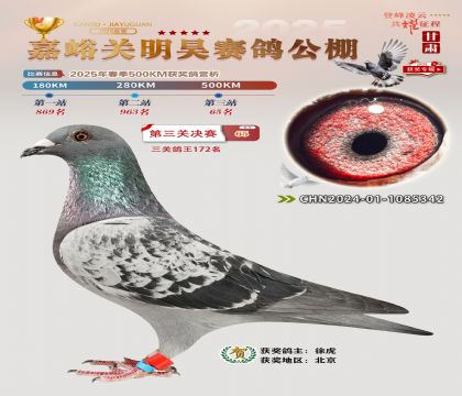 P(gun)껛Qِ65