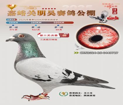 P(gun)껛Qِ66