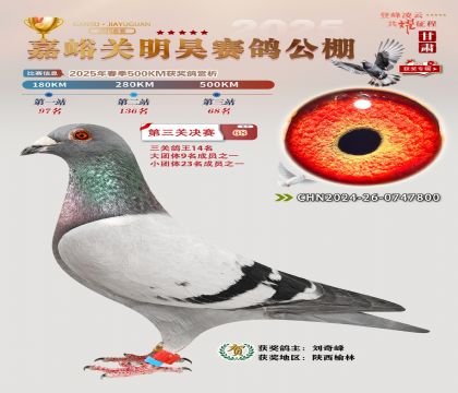 P(gun)껛Qِ68
