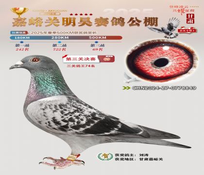 P(gun)껛Qِ69