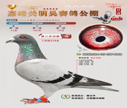 P(gun)껛Qِ70