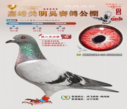 P(gun)껛Qِ71