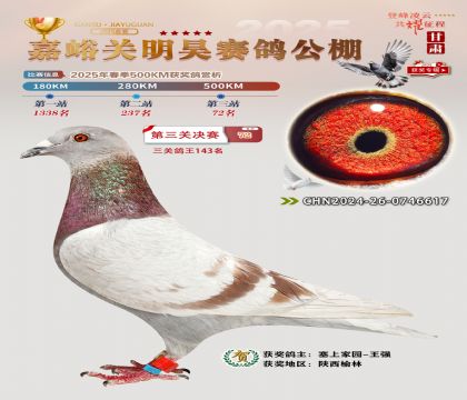 P(gun)껛Qِ72