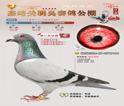 P(gun)껛Qِ73