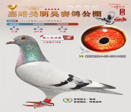 P(gun)껛Qِ75