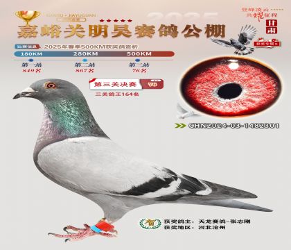 P(gun)껛Qِ76