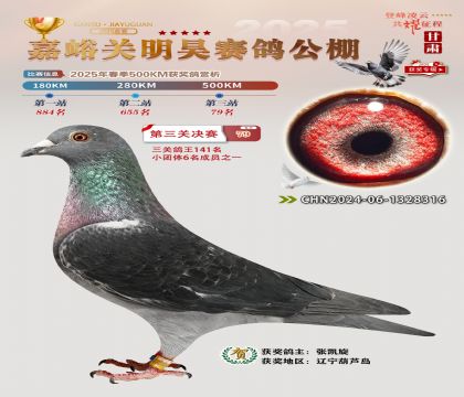 P(gun)껛Qِ79